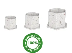 EKO ČAŠICE ZA BOJU -  200 KOM